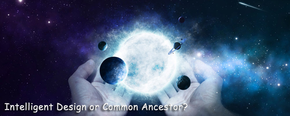 Intelligent Design or Common Ancestor?