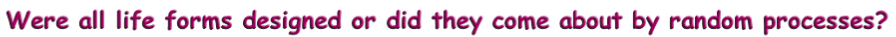 Were all life forms designed or did they come about by random processes?
